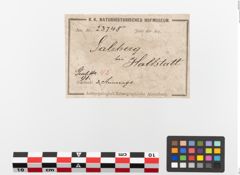 Etiketten zu Bronzebuckelarmeif (NHMW-PRAE-023748)